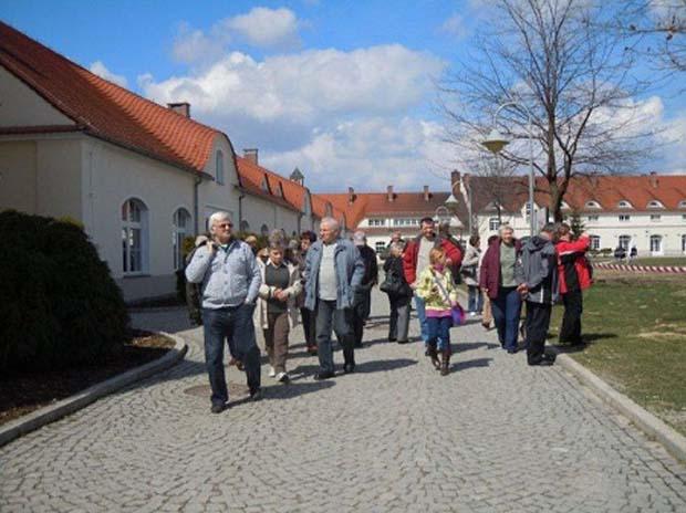 Krzyzowa 1